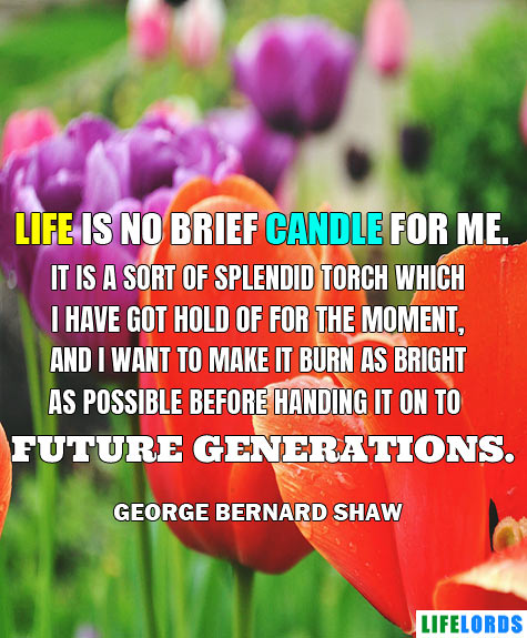 Life Quote By George Bernard Shaw