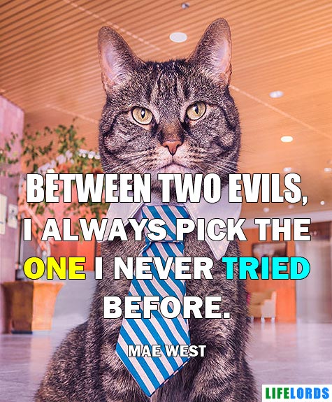 Funny Cat Quote By Mae West