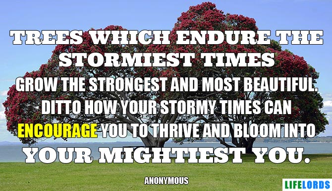 Great Quotes About Encouragement And Strength