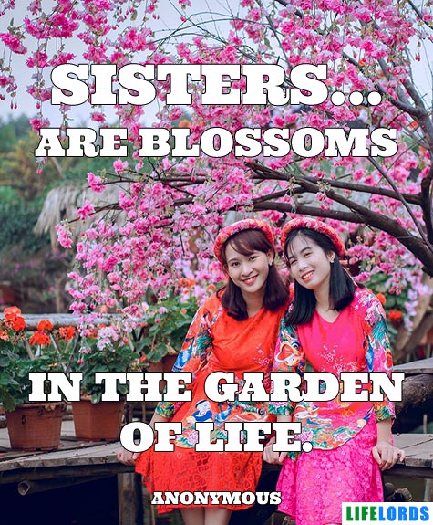 Sisters Are Blossoms In Garden of Life Quote