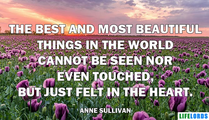 Most Beautiful Things In The World Gratitude Quote