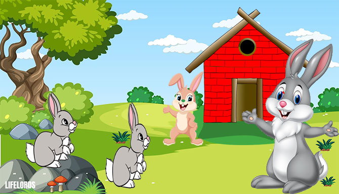Peter Rabbit Story For Kids